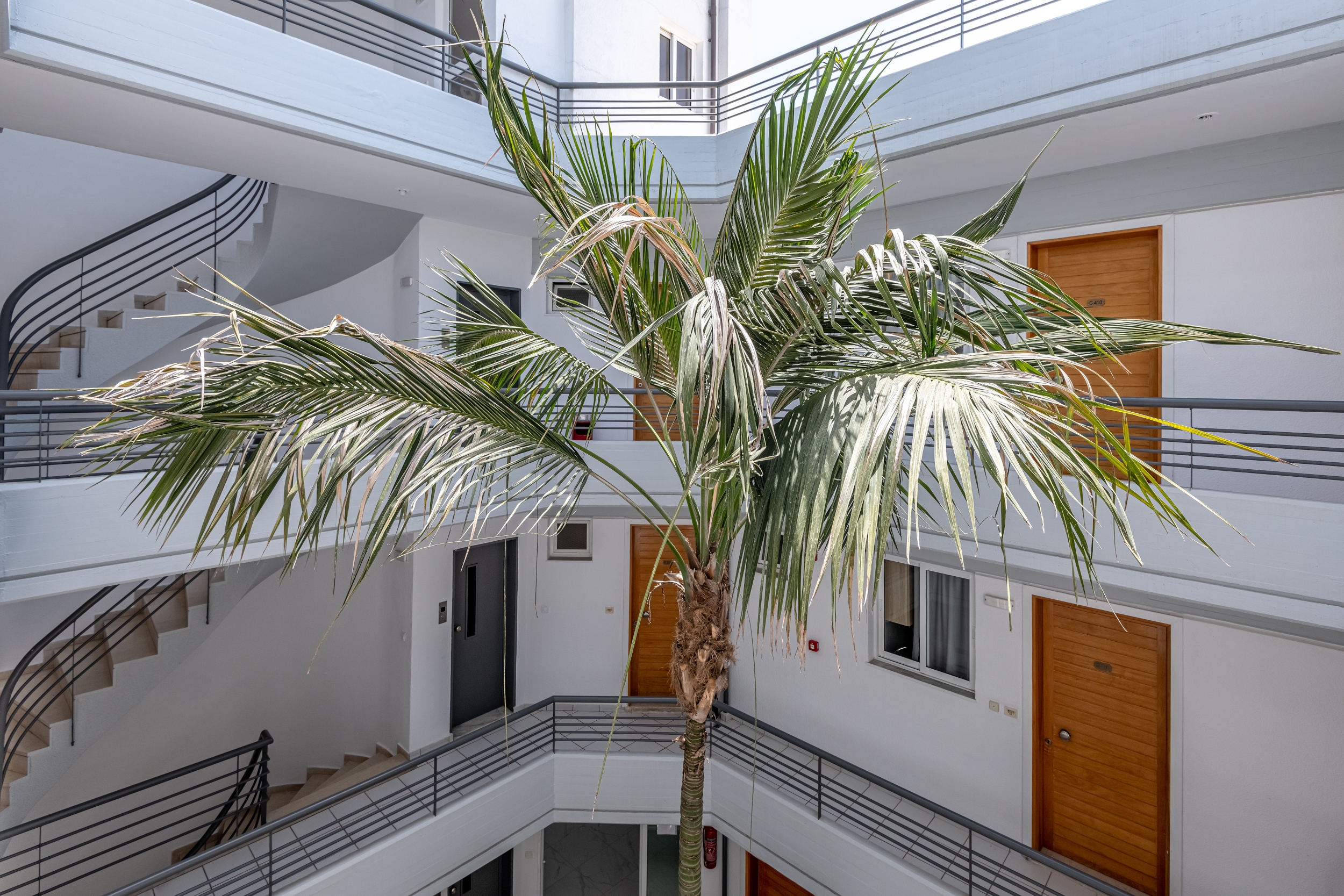 Hotel Angela Hotel Apartments, Griechenland, Kos-Stadt. Großes 47